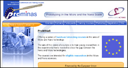 ProMiNas - Prototyping in the Micro and the Nano Scale